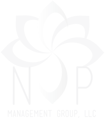 NSP Management Group, LLC logo